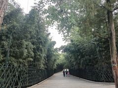 -红螺寺