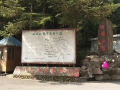 -四明山国家森林公园