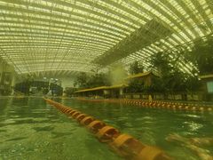 -龙脉温泉室内游泳馆