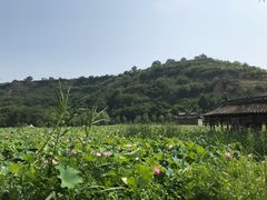 -渭南桃花源民俗文化园