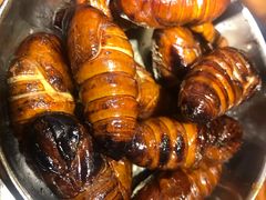 烤蚕蛹-原始泥炉烤肉(总店)