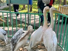 -水上乐园·欢乐世界