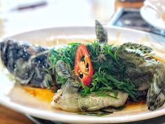 清蒸龙趸-绿雅居原生态农庄(小涌店)