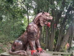 -金堂县云顶石城风景区