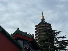 -八大处公园