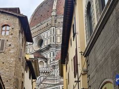 -圣母百花大教堂穹顶