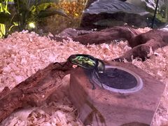 -陕西自然博物馆