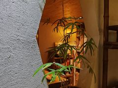 -菩提书坊(侨福大厦店)