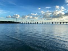 -宝安西湾红树林湿地公园