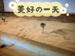 -敖东酵素·离子暖房