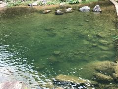 -安吉龙王山峡谷漂流