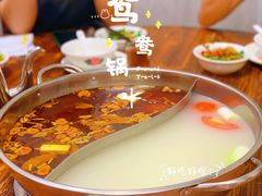 -肥婆麻辣火锅.顺德首创药材麻辣火锅(容桂店)