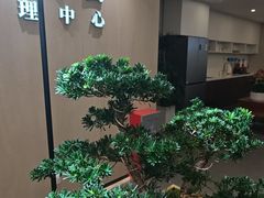 -通透堂中医·精准推拿(旗舰店)