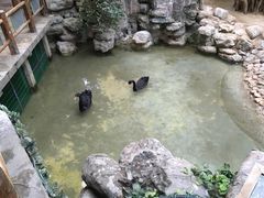 -北京动物园