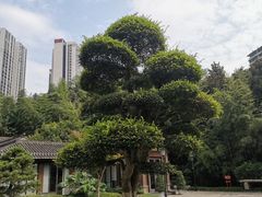 -龙头寺公园