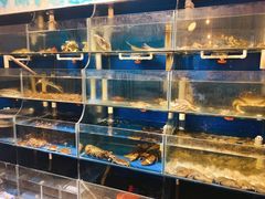 水产区-广记海鲜(杨汊湖一店)