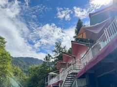 -广州市流溪河国家森林公园