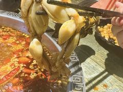 -销魂美蛙鱼头火锅(上海首店)