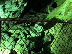 -遂昌金矿国家矿山公园