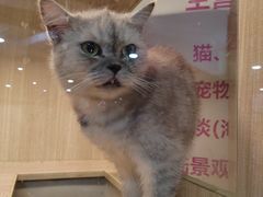 -万达广场(济南魏家庄店)