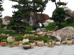 -南通洲际绿博园