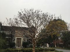 -西溪国家湿地公园
