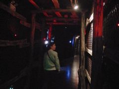 -陕西自然博物馆