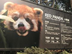 -熊猫厨房