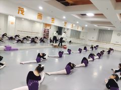 -西安小天鹅艺术团(金花路校区)