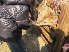 -烟水渔庄餐厅(西溪湿地店)