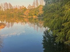 -上海海湾国家森林公园