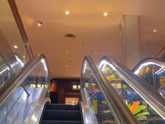 -中山国际酒店中餐厅