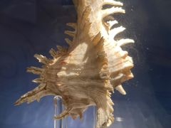 -中国湿地博物馆