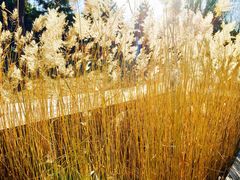 -中关村生命科学园