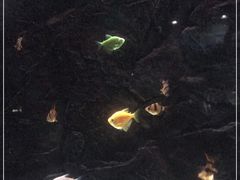 -苏州海洋馆