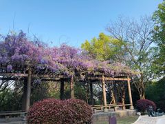 -敬亭山风景名胜区