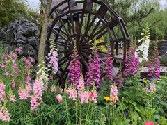 -上海共青森林公园