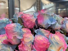 -ROSEONLY诺誓(广州K11店)