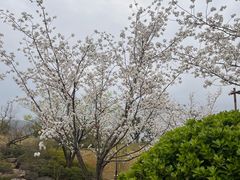 -雅达·阳羡溪山小镇中心