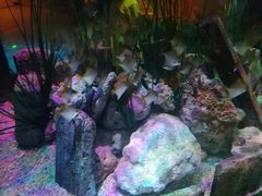 -沈阳海洋探索中心