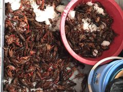 -江杨农产品批发市场