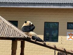 -石家庄市动物园