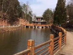 -镇龙山国家森林公园