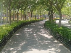 -大兴滨河森林公园