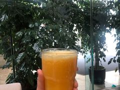冰橙汁-马哥孛罗咖啡厅·Cafe Marco (厦门马哥孛罗东方大酒店)