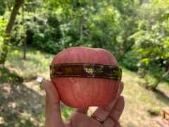 -六鼎山文化旅游区