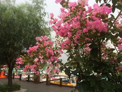 -红莲湖