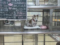 -动物缘宠物医院·骨科·猫科(西二环店)