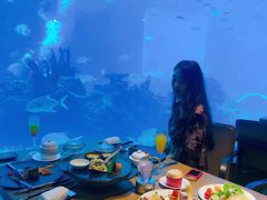 -海棠湾洲际-涛·海底餐厅·美人鱼·自助餐·海底隧道
