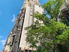 -斯蒂芬主教座堂(Stephansdom)